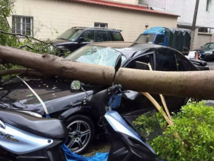 汽车遭受自然灾害的保险是否可以赔偿？